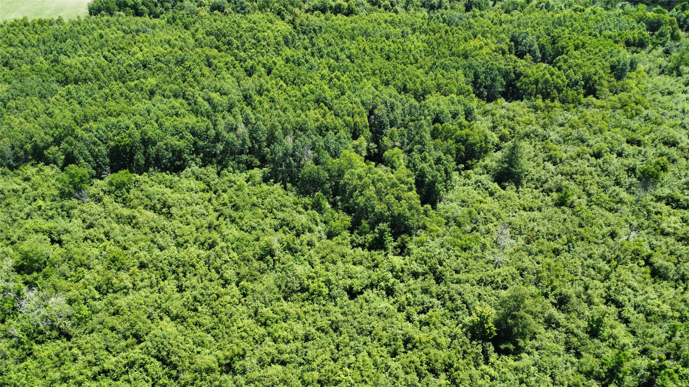 Ooo Snowshoe Road Property Photo 19