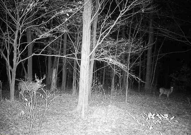 Ooo Snowshoe Road Property Photo 21