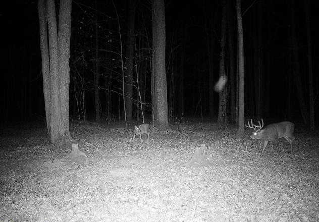 Ooo Snowshoe Road Property Photo 23