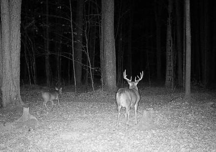 Ooo Snowshoe Road Property Photo 24