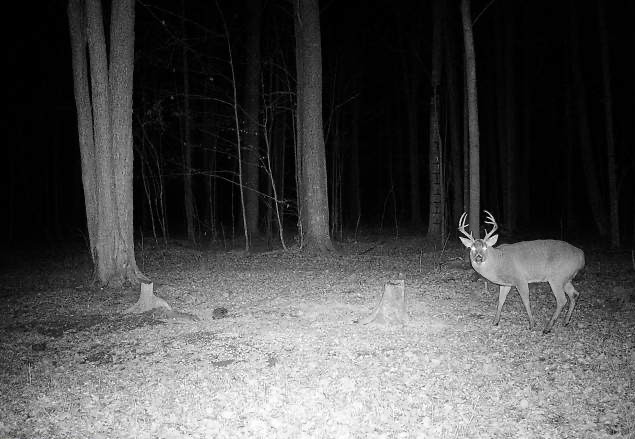 Ooo Snowshoe Road Property Photo 25
