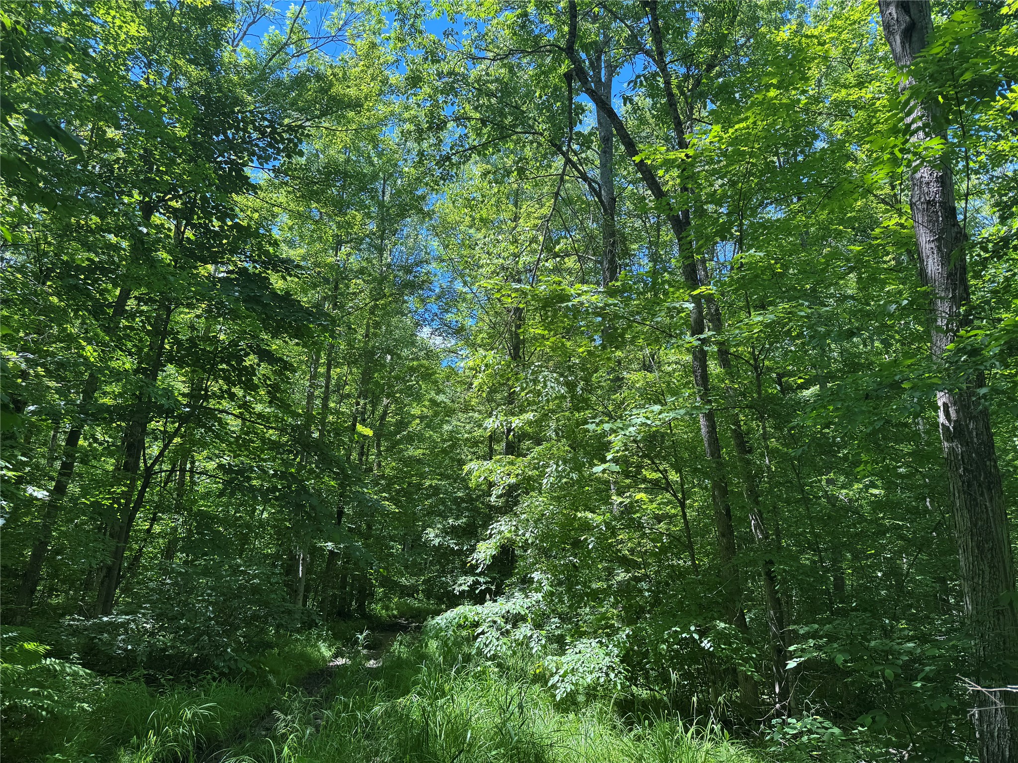 Ooo Snowshoe Road Property Photo 30