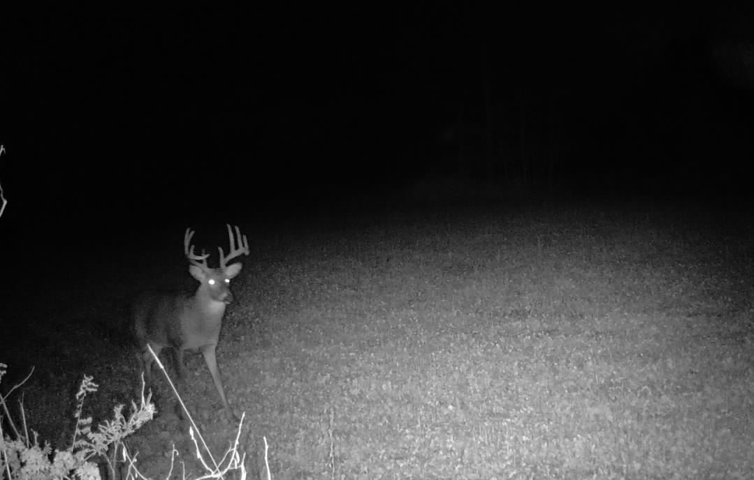 Ooo Snowshoe Road Property Photo 33