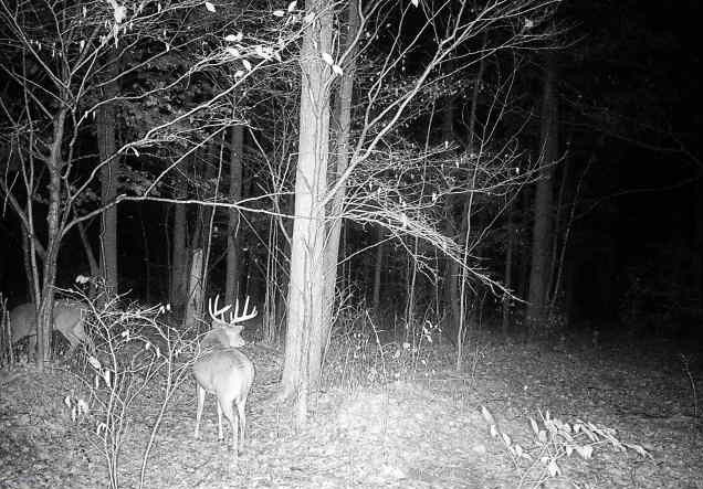 Ooo Snowshoe Road Property Photo 34