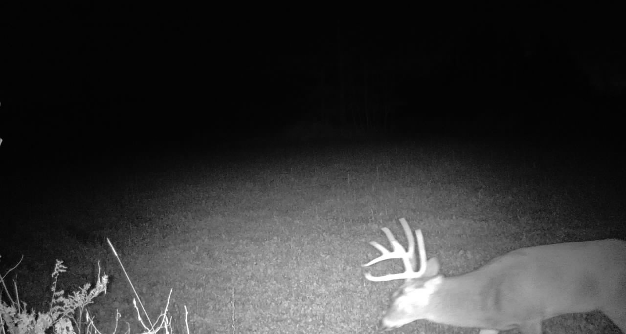 Ooo Snowshoe Road Property Photo 35