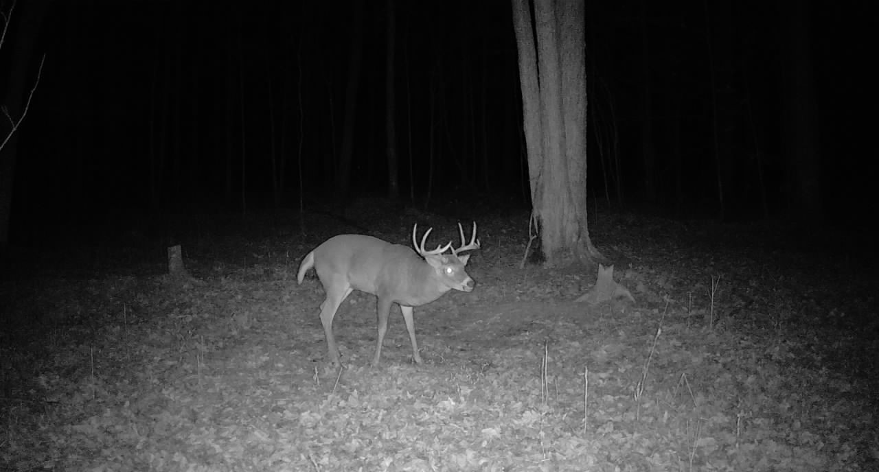 Ooo Snowshoe Road Property Photo 41