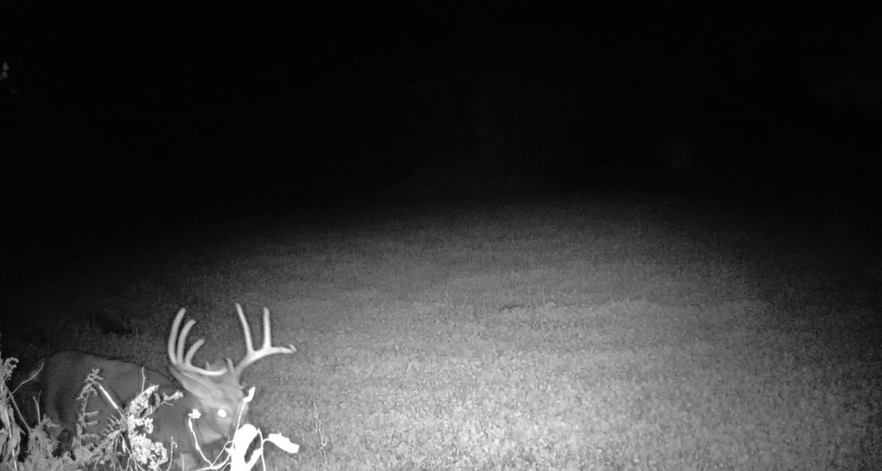 Ooo Snowshoe Road Property Photo 42