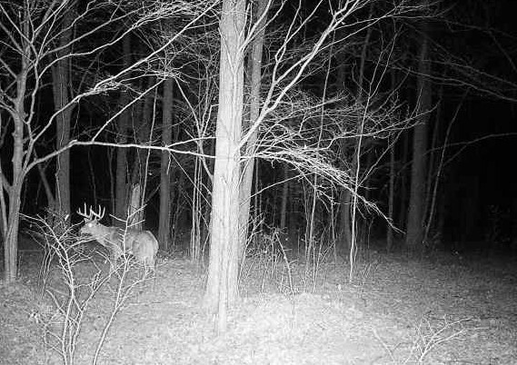 Ooo Snowshoe Road Property Photo 43