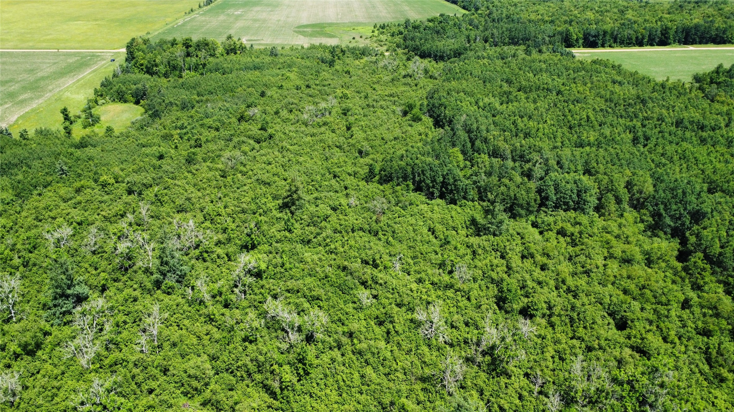 Ooo Snowshoe Road Property Photo 45