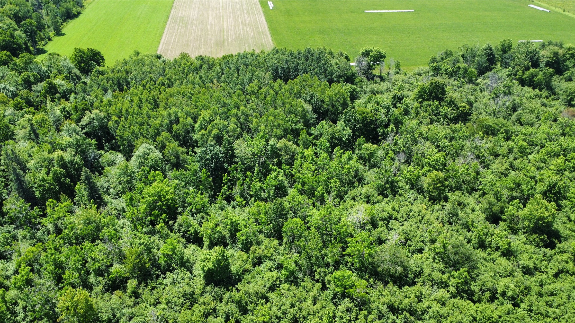 Ooo Snowshoe Road Property Photo 47