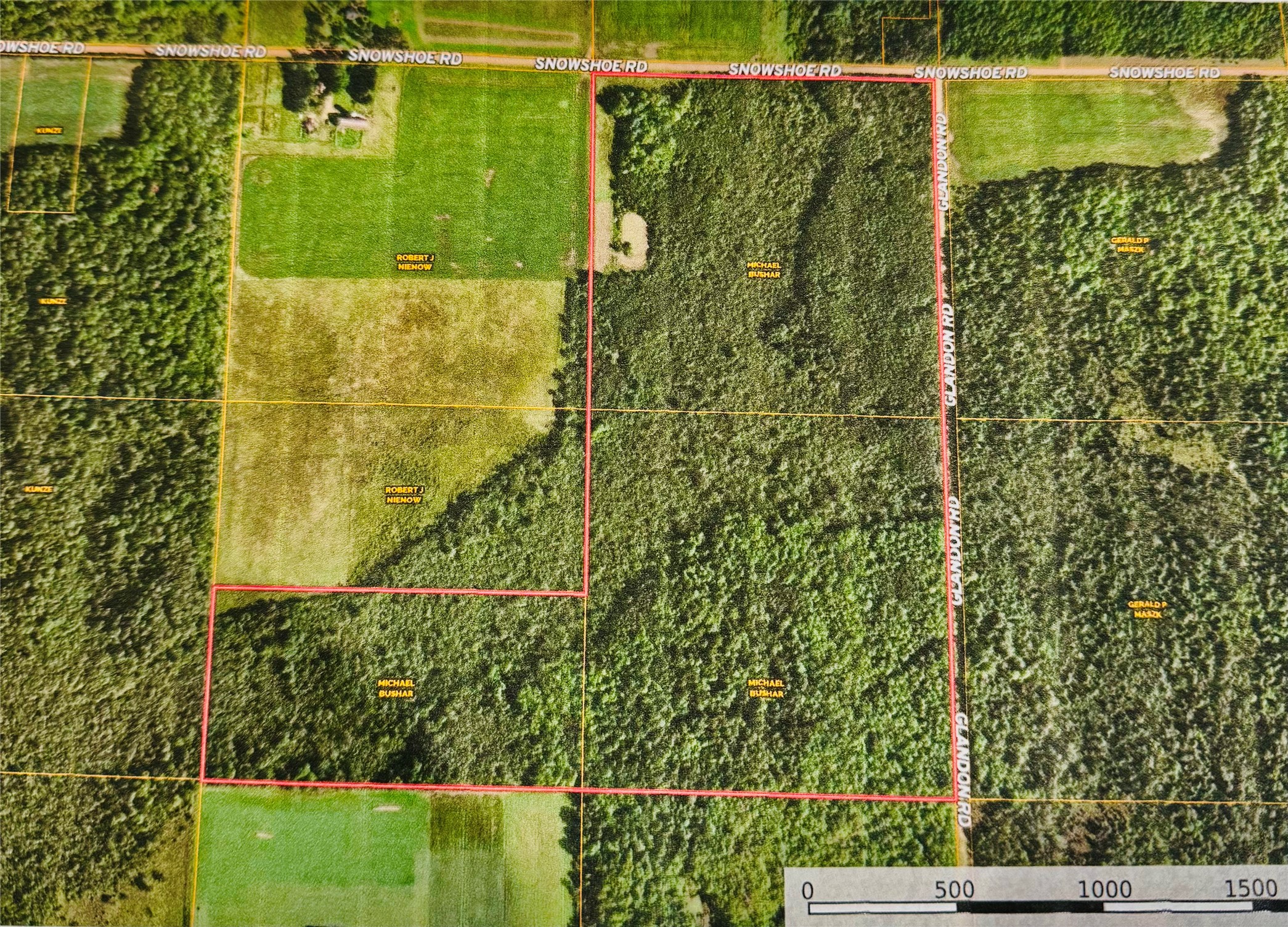 Ooo Snowshoe Road Property Photo 49