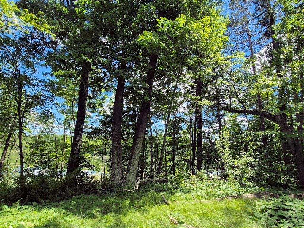 9341 N Nyberg Road Property Photo 5