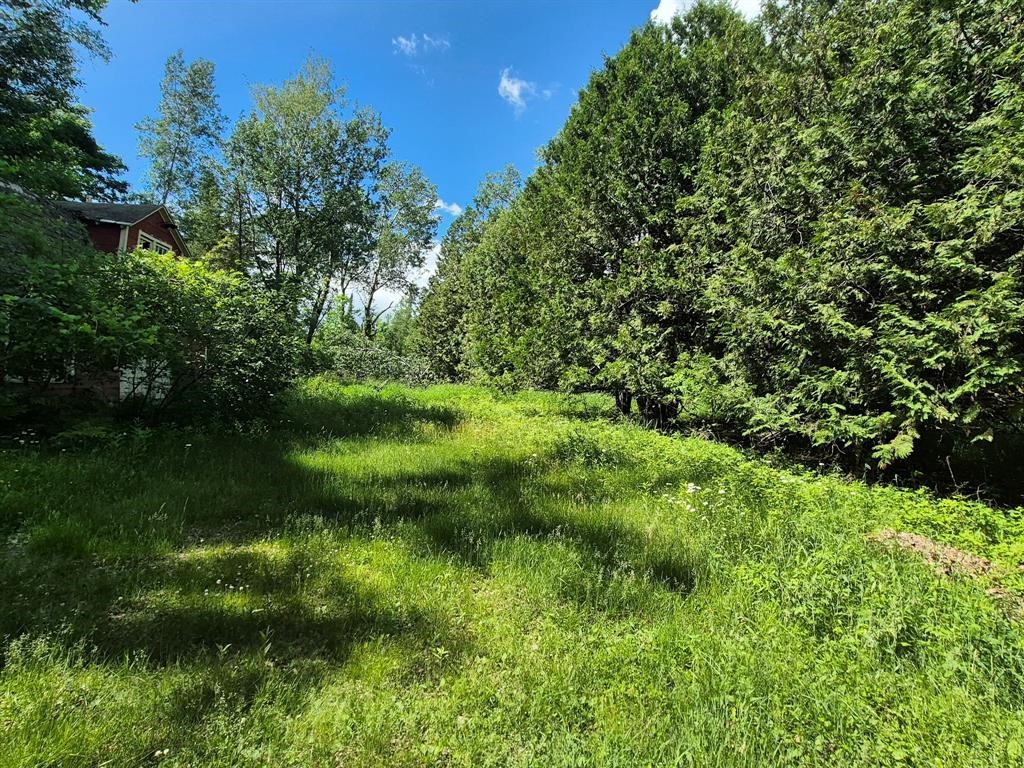 9341 N Nyberg Road Property Photo 11