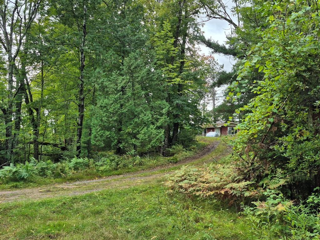 9341 N Nyberg Road Property Photo 12