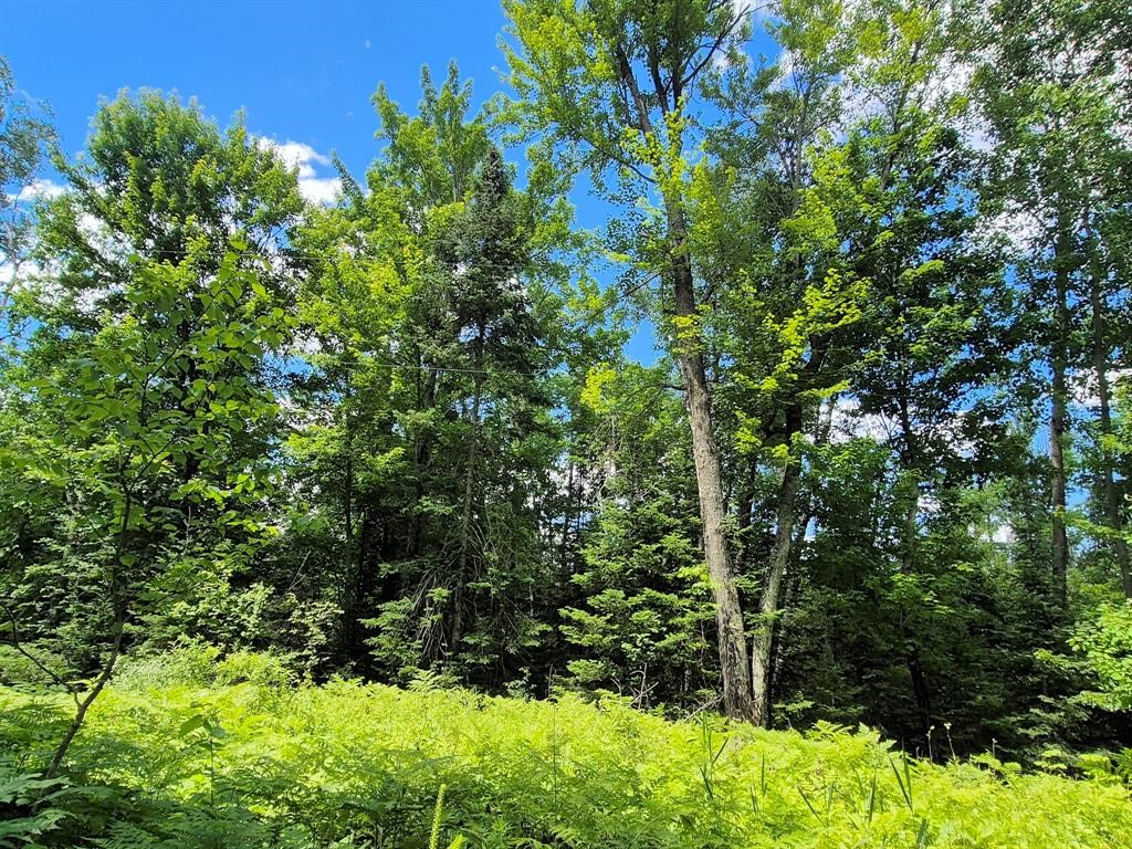 9341 N Nyberg Road Property Photo 13