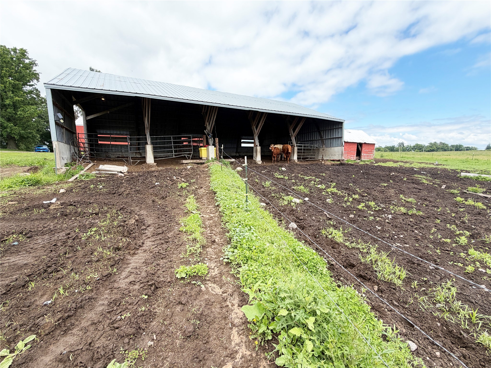 1323 Us Highway 8 Property Photo 31