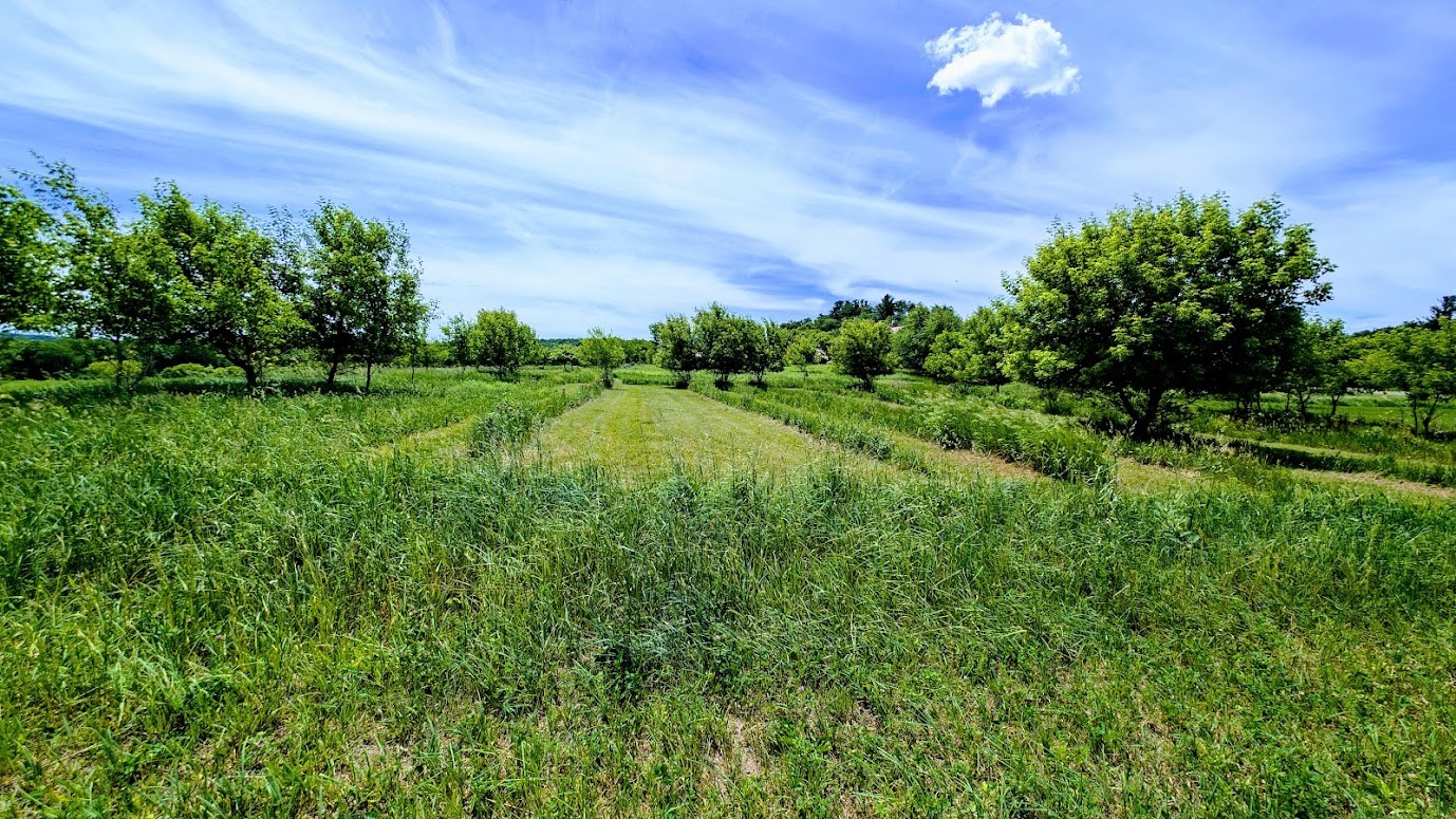407 23rd Street Property Photo 57