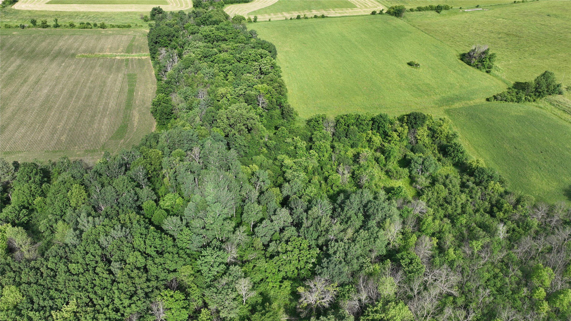 Xx County Road Bb Property Photo 20