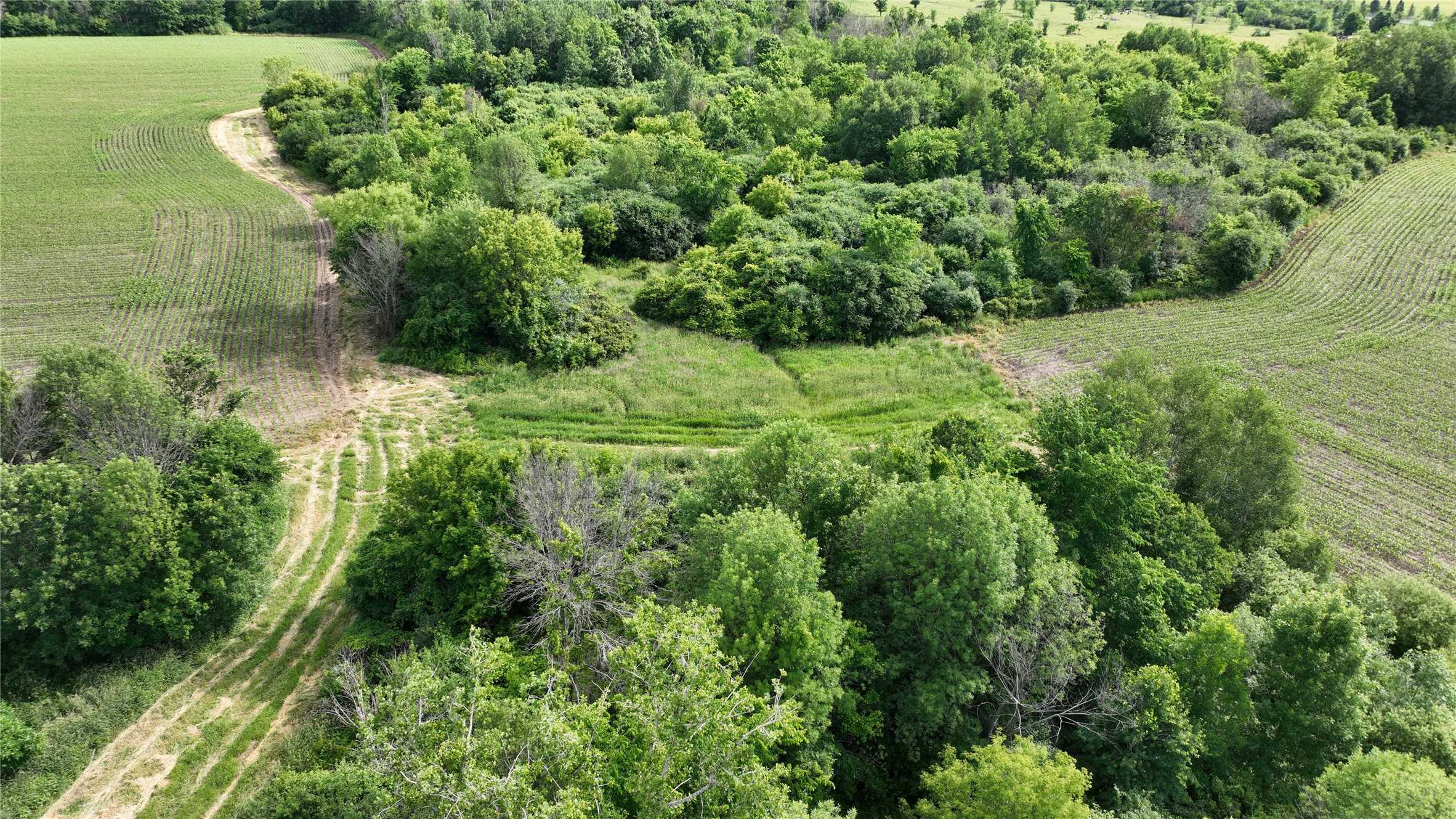 Xx County Road Bb Property Photo 23