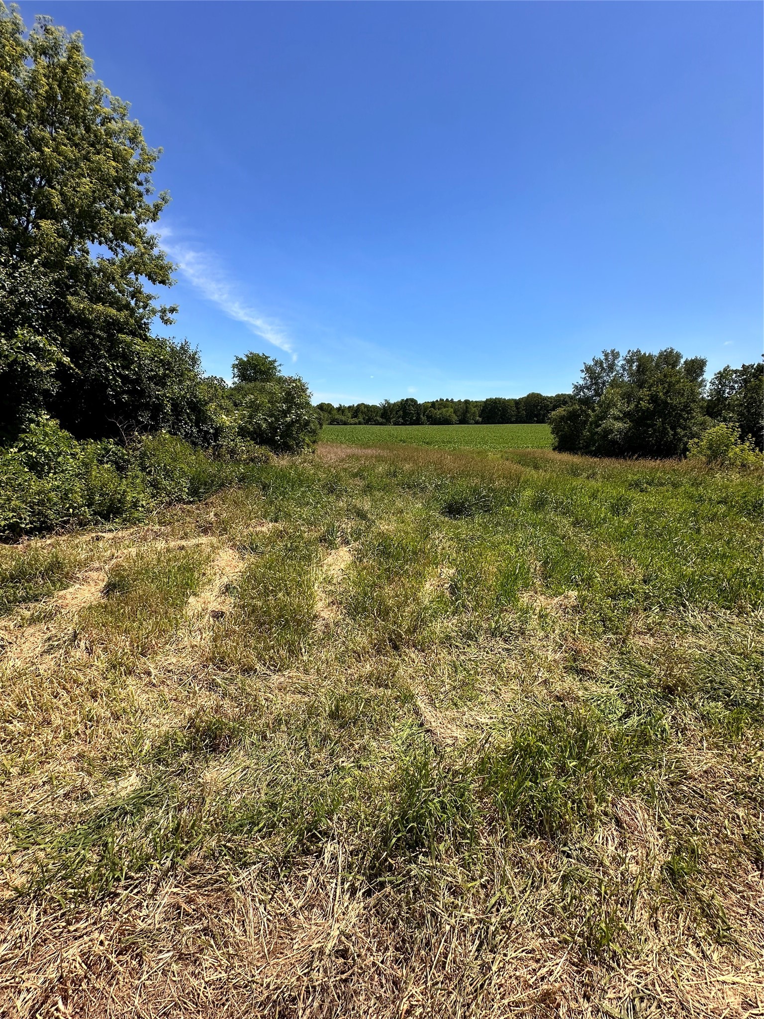 Xx County Road Bb Property Photo 31