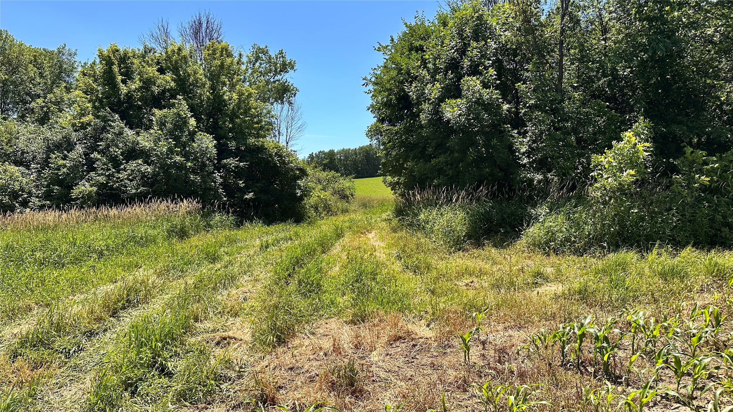 Xx County Road Bb Property Photo 33