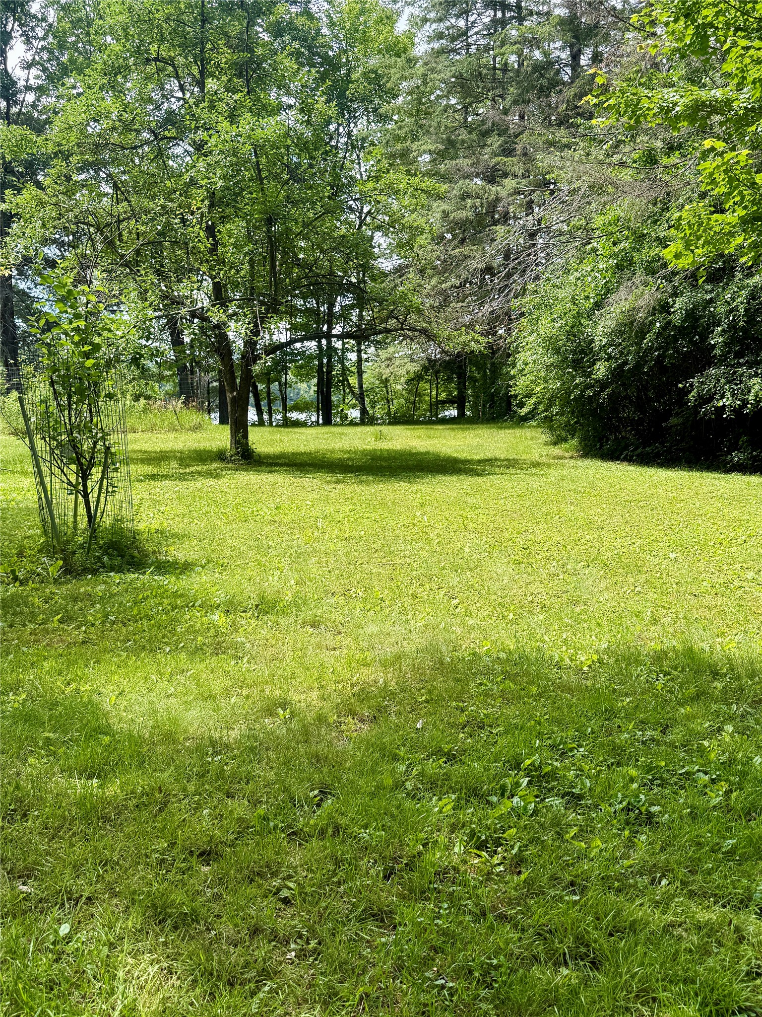 Lot 1 State Highway 70 Property Photo 10