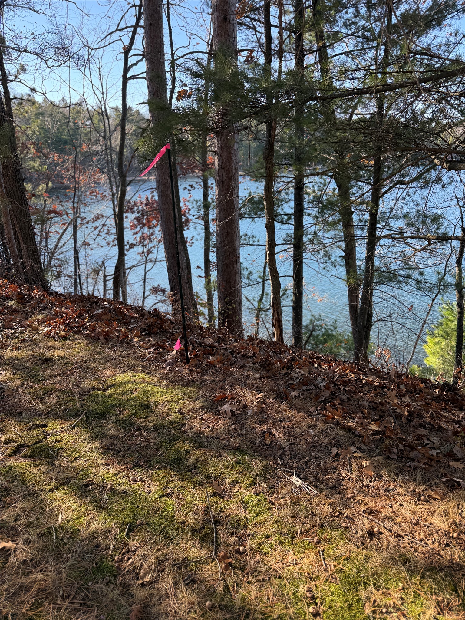 Lot 1 State Highway 70 Property Photo 13