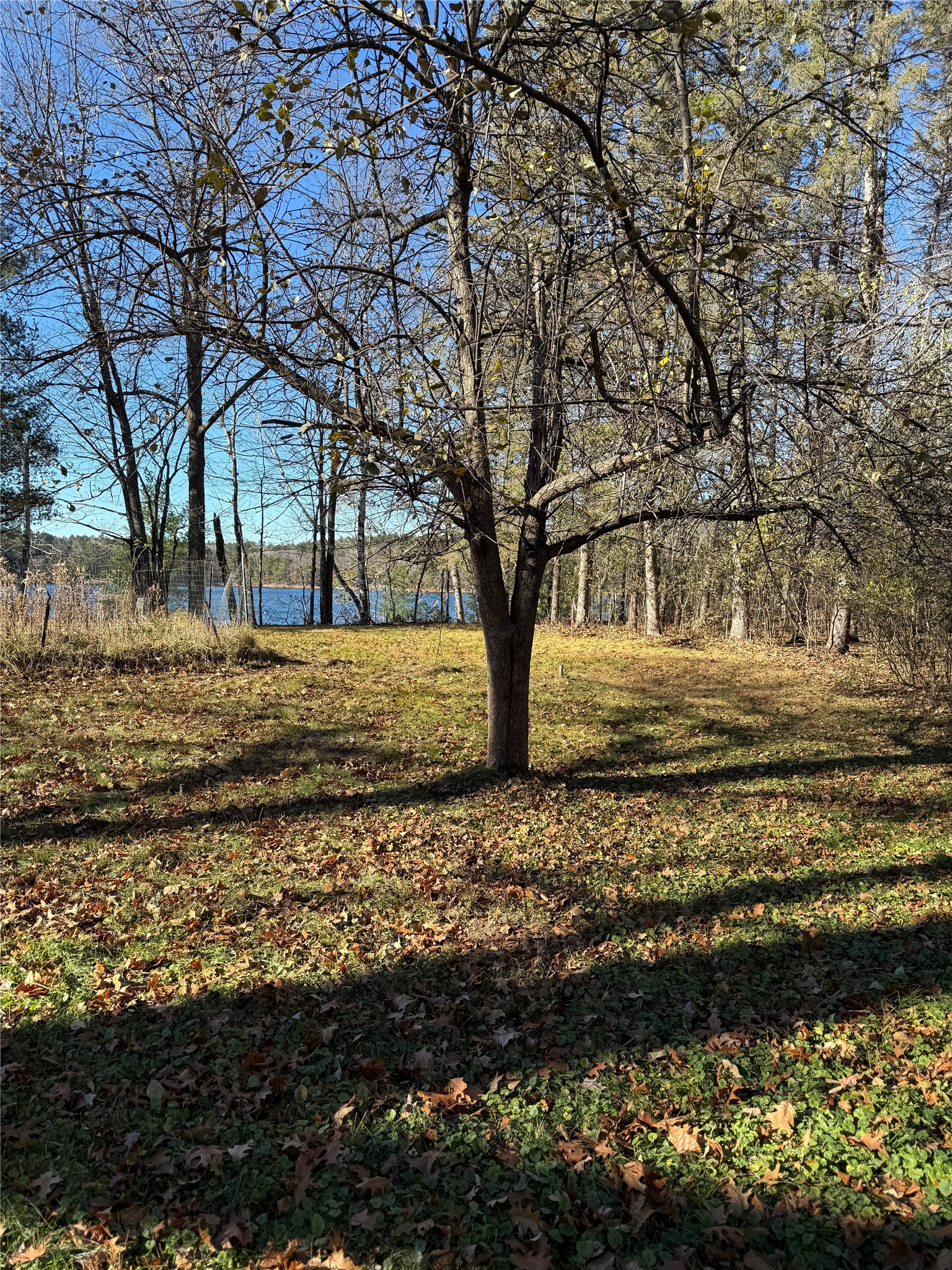 Lot 1 State Highway 70 Property Photo 14