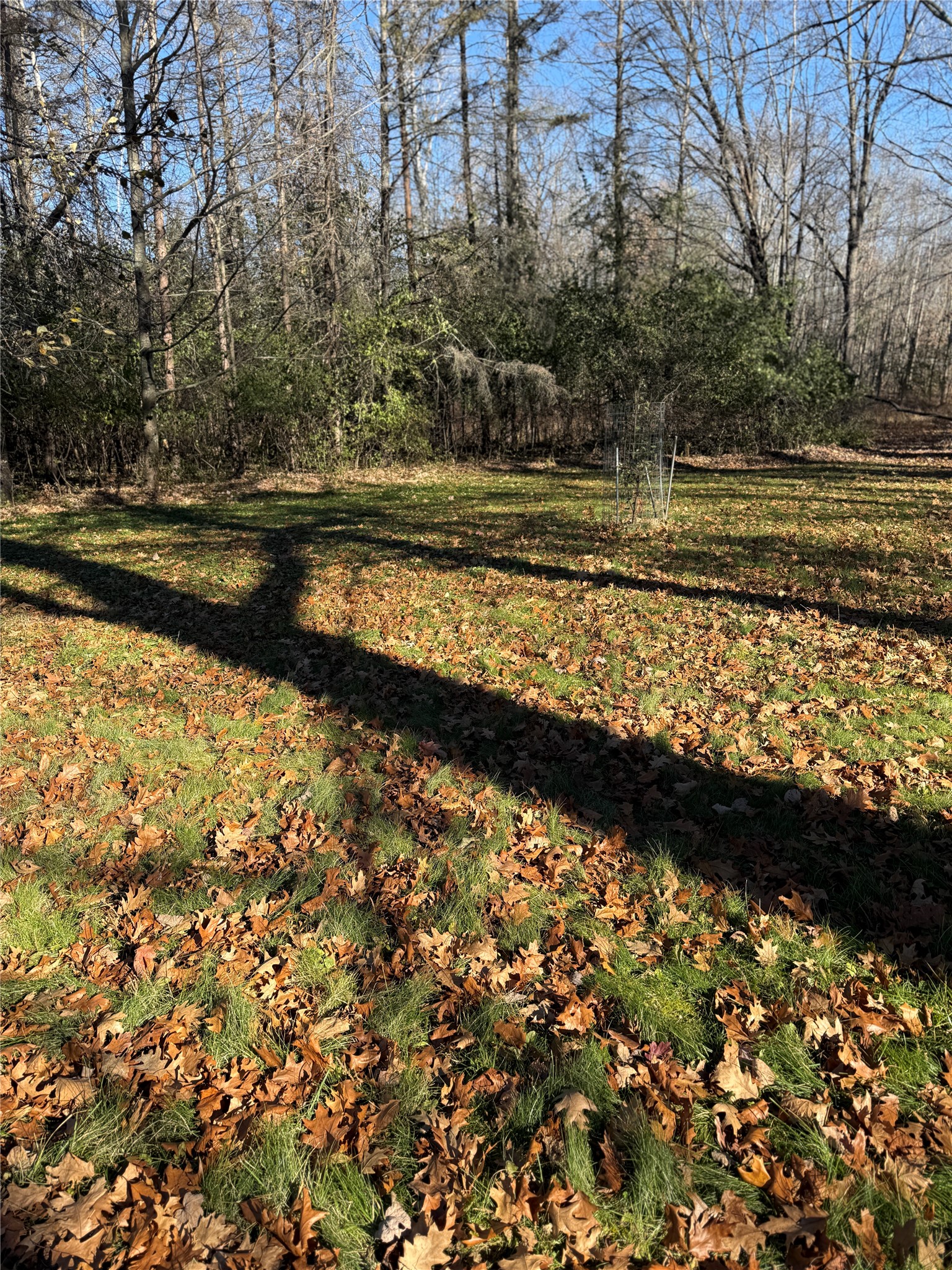 Lot 1 State Highway 70 Property Photo 16