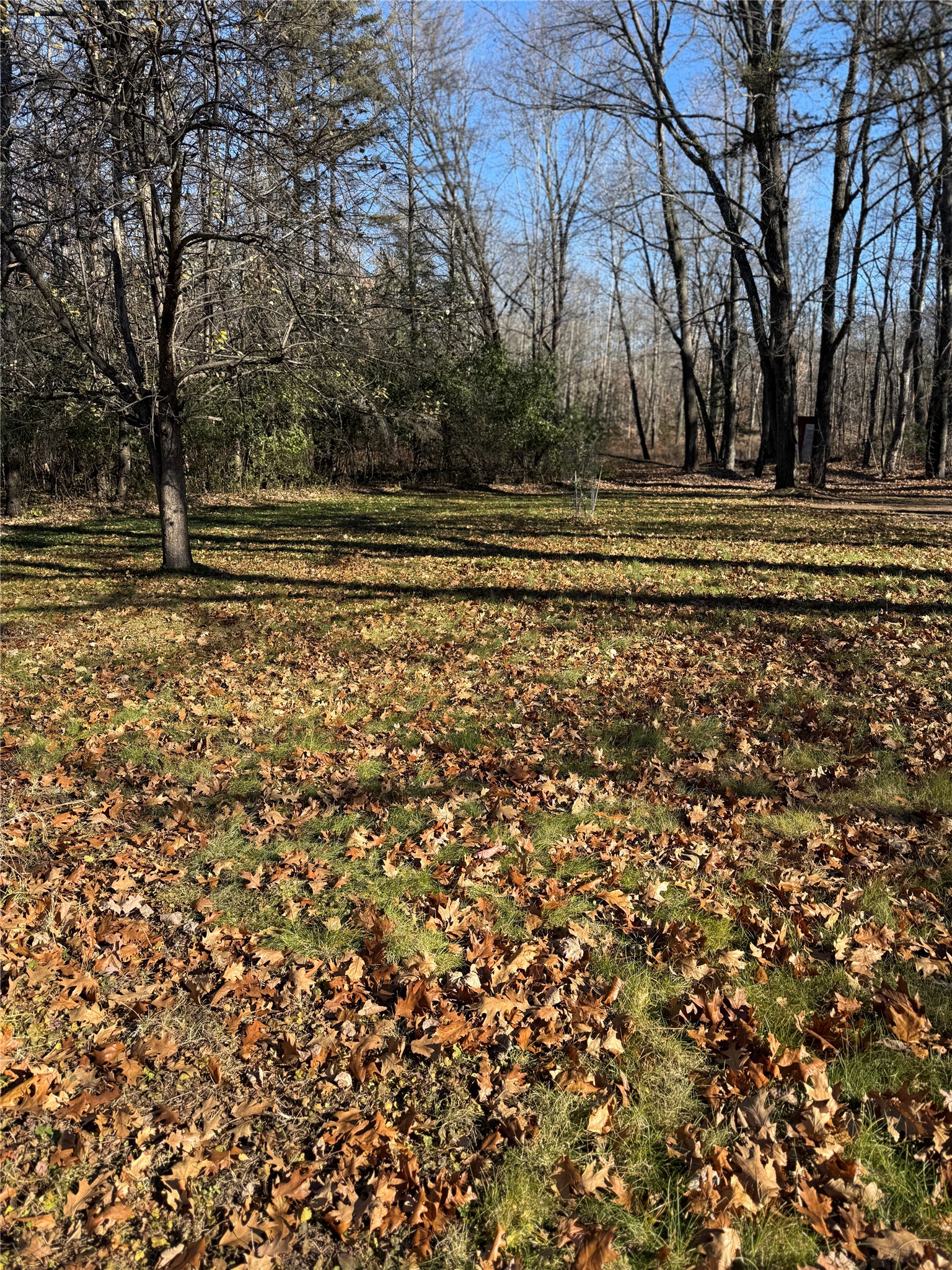 Lot 1 State Highway 70 Property Photo 17