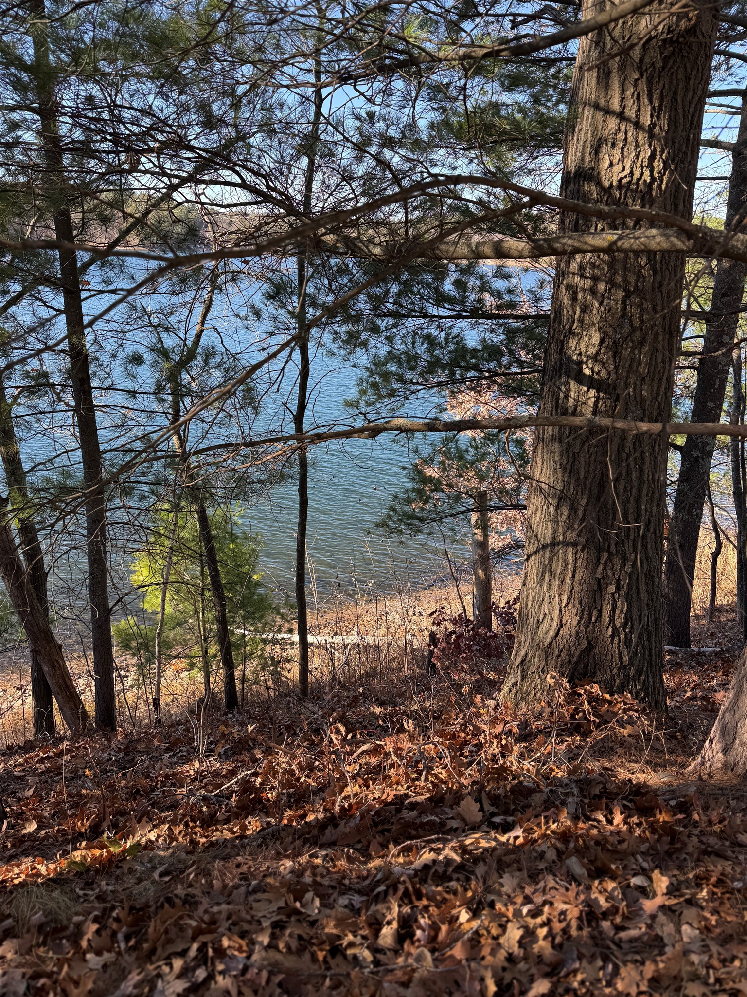 Lot 1 State Highway 70 Property Photo 22