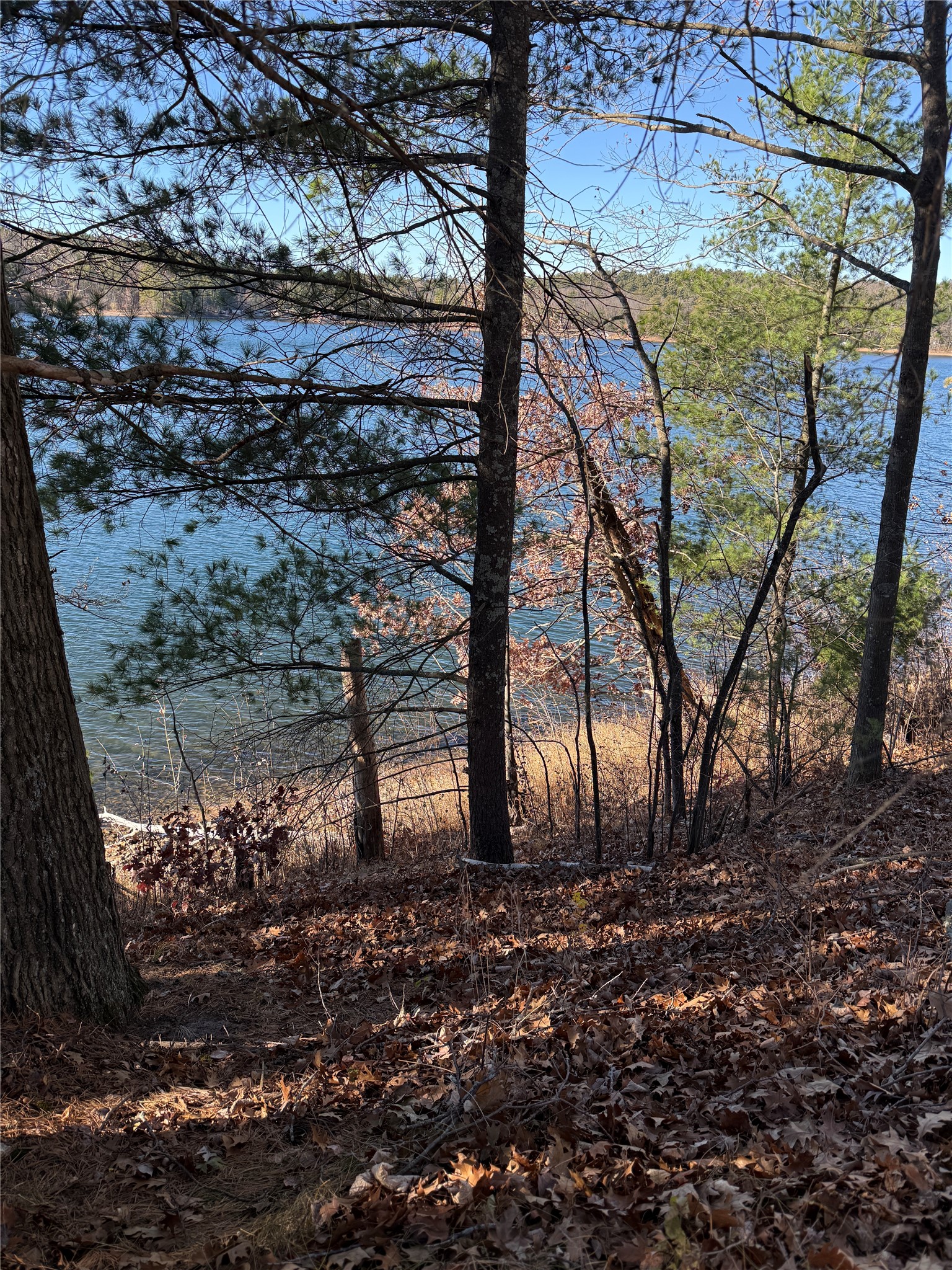 Lot 1 State Highway 70 Property Photo 23
