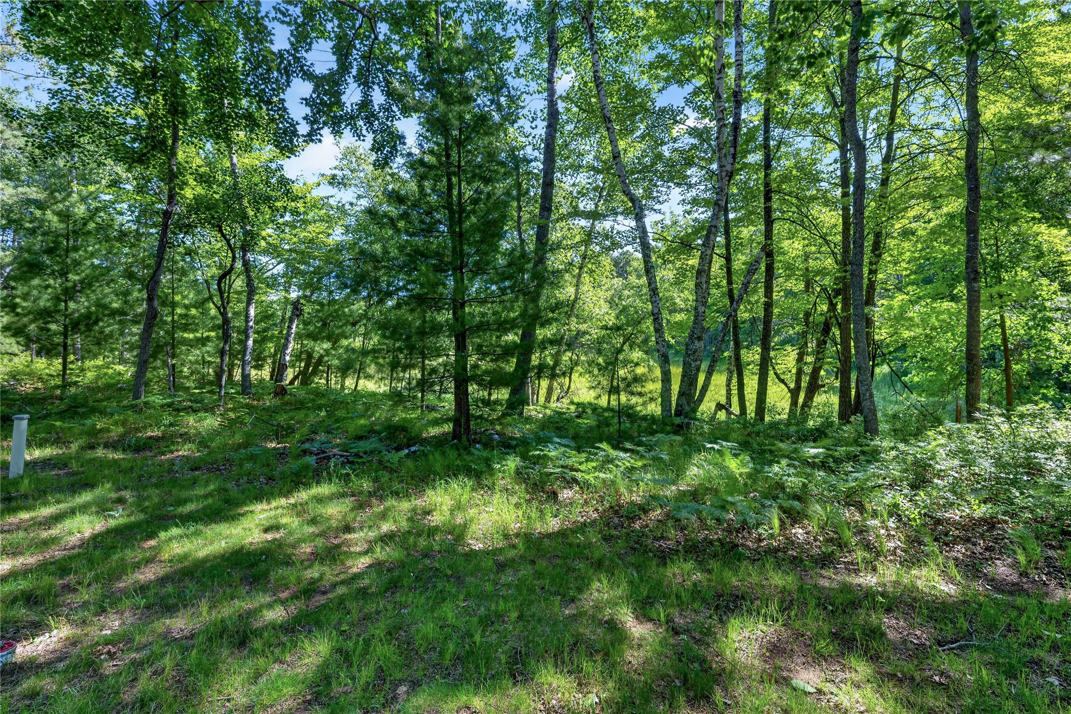 3670 Deer Lodge Drive Property Photo 27
