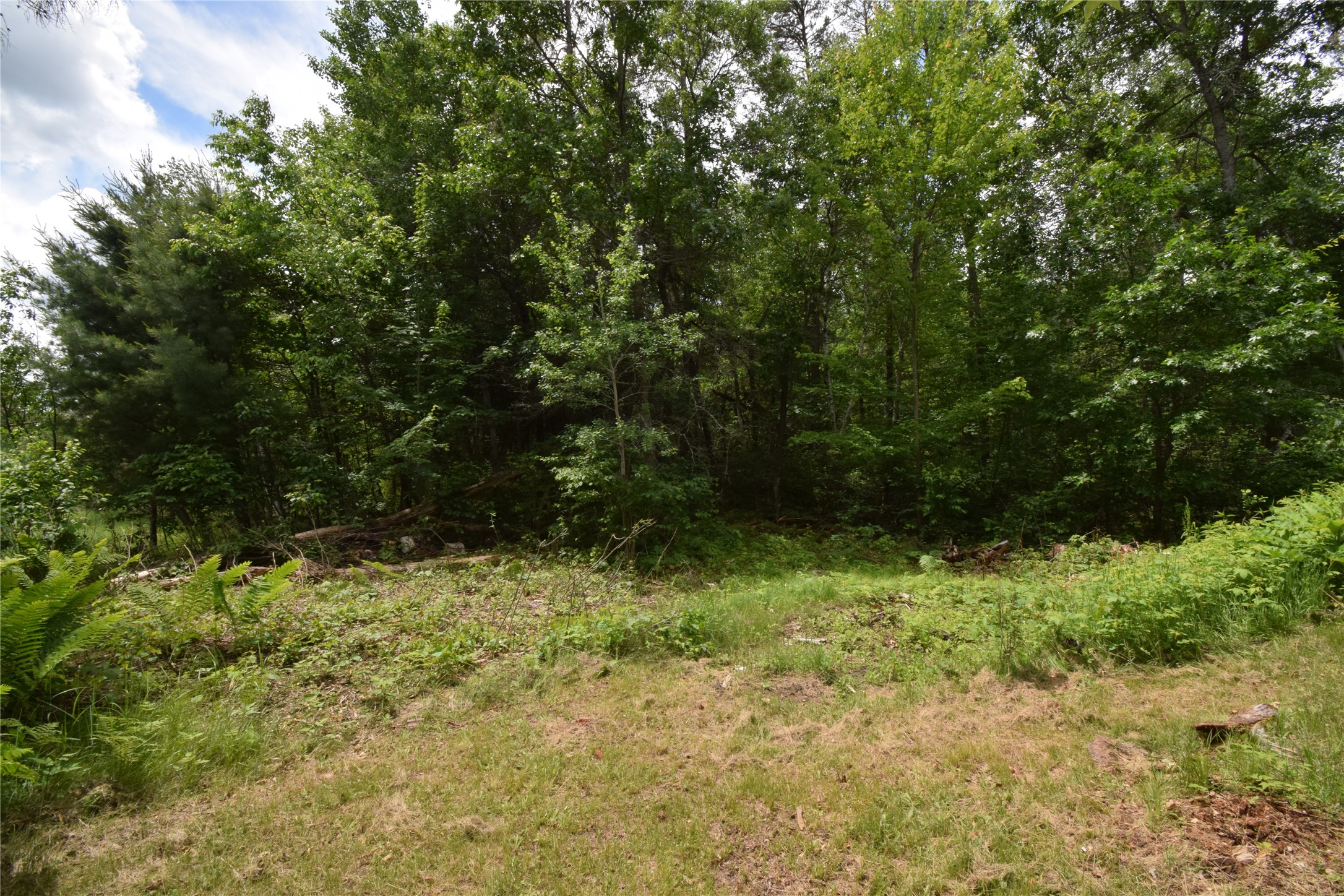 4411 Lunsman Drive Property Photo 35