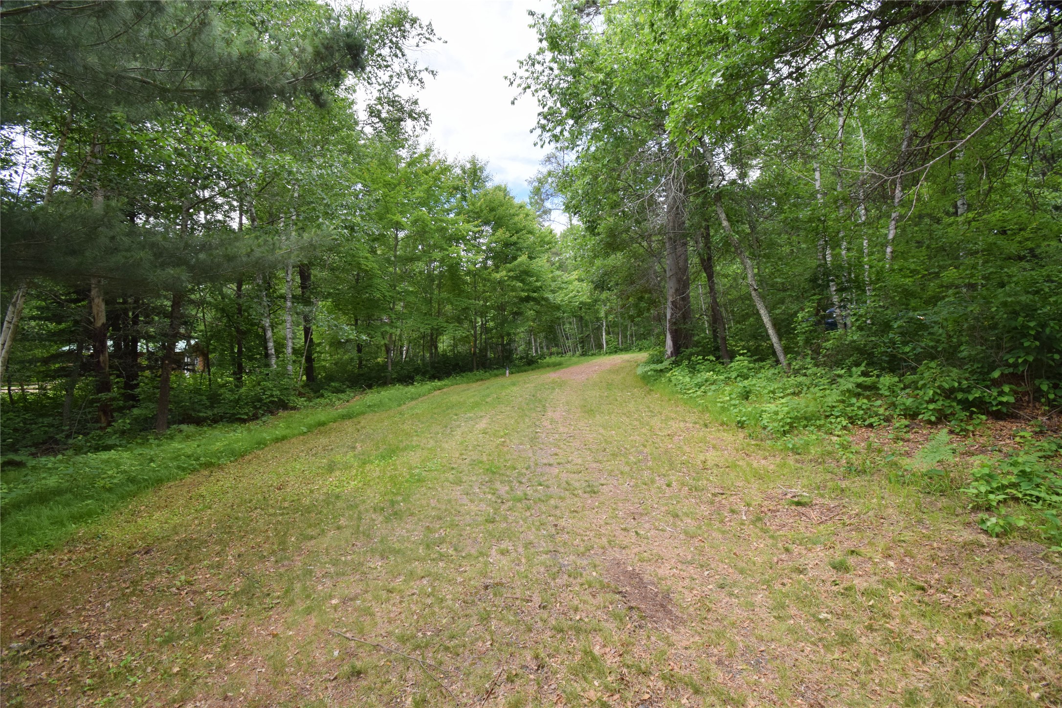 4411 Lunsman Drive Property Photo 36