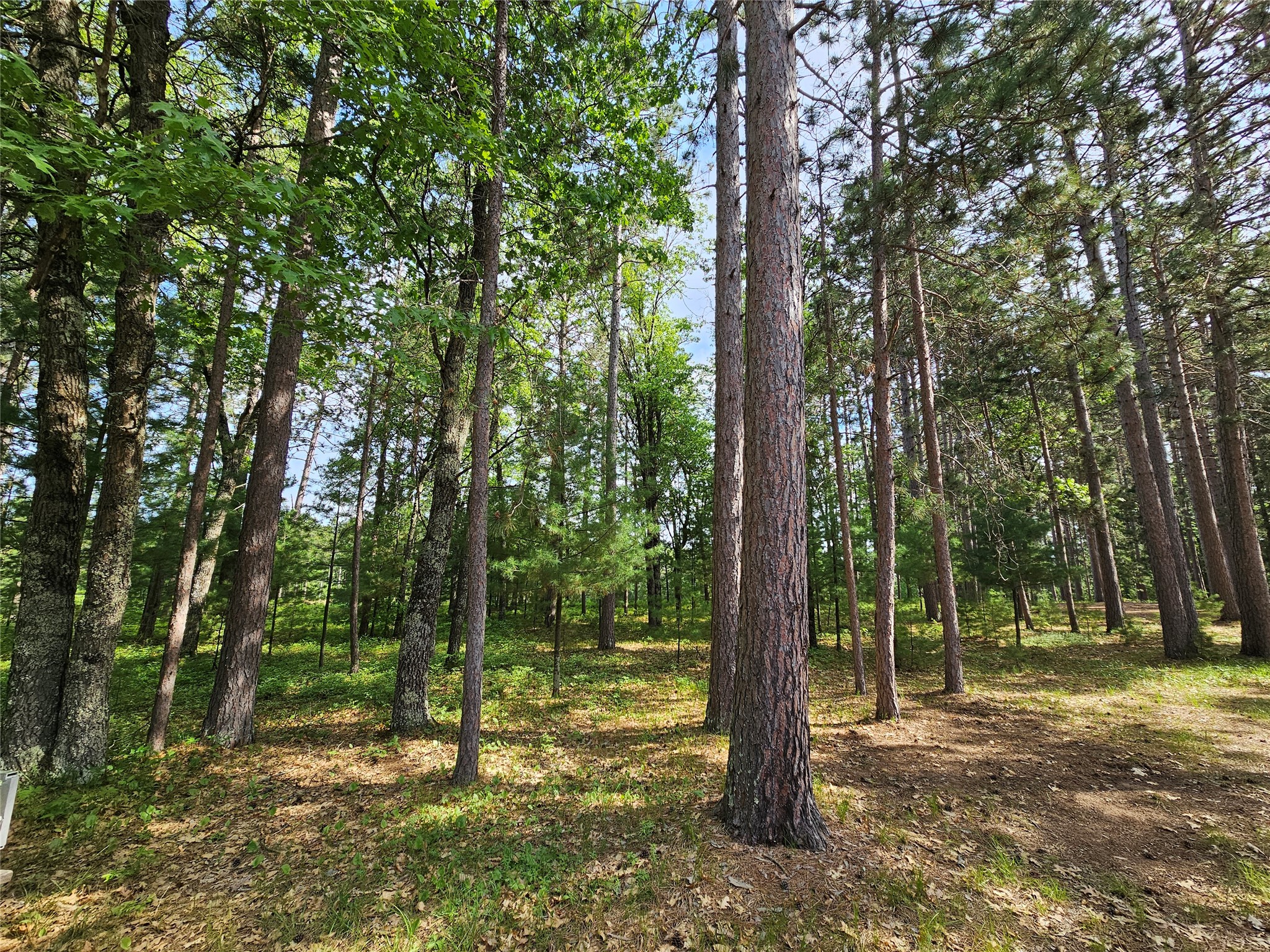 3307 State Road 77 Property Photo 47