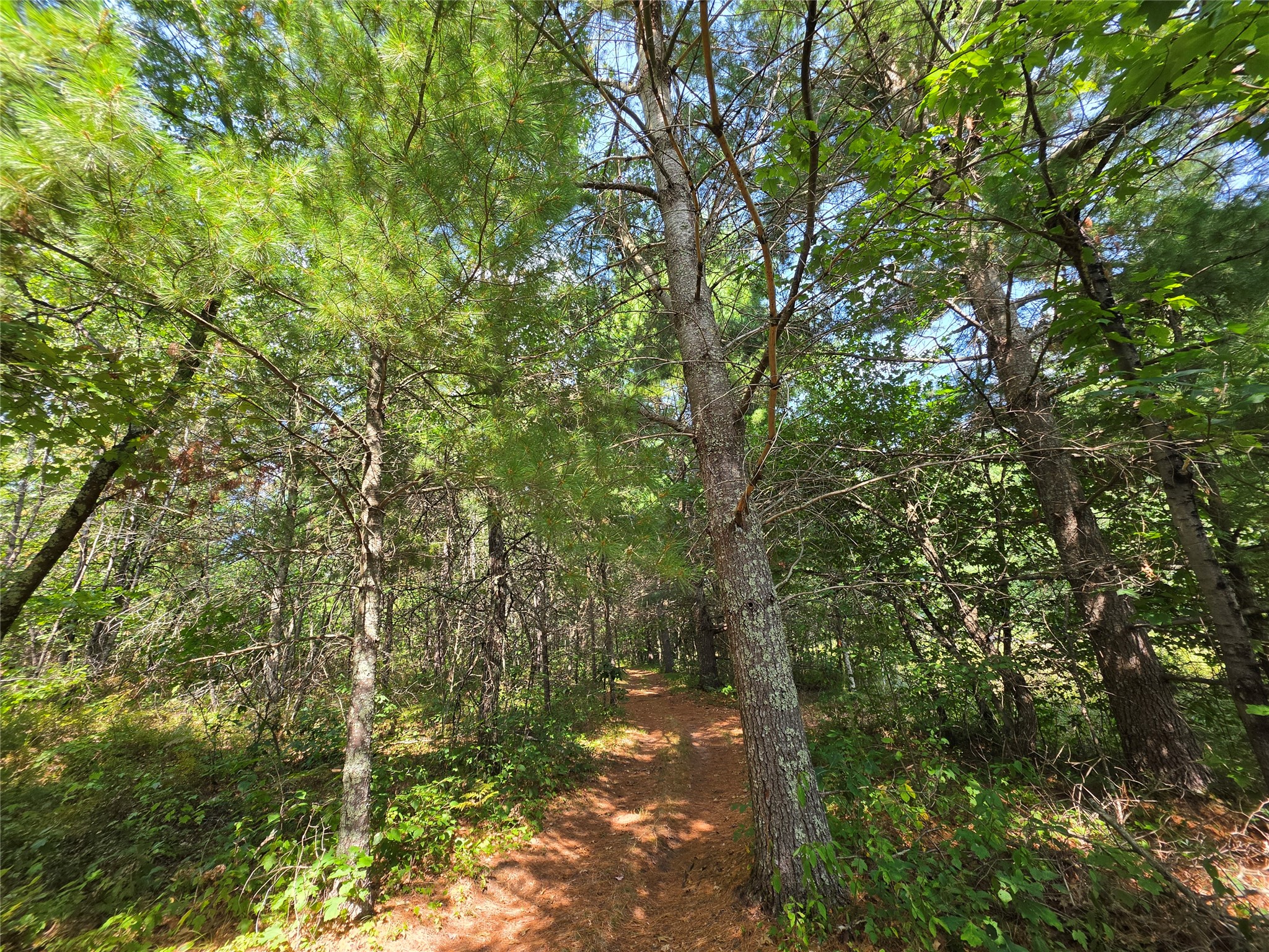 3307 State Road 77 Property Photo 56