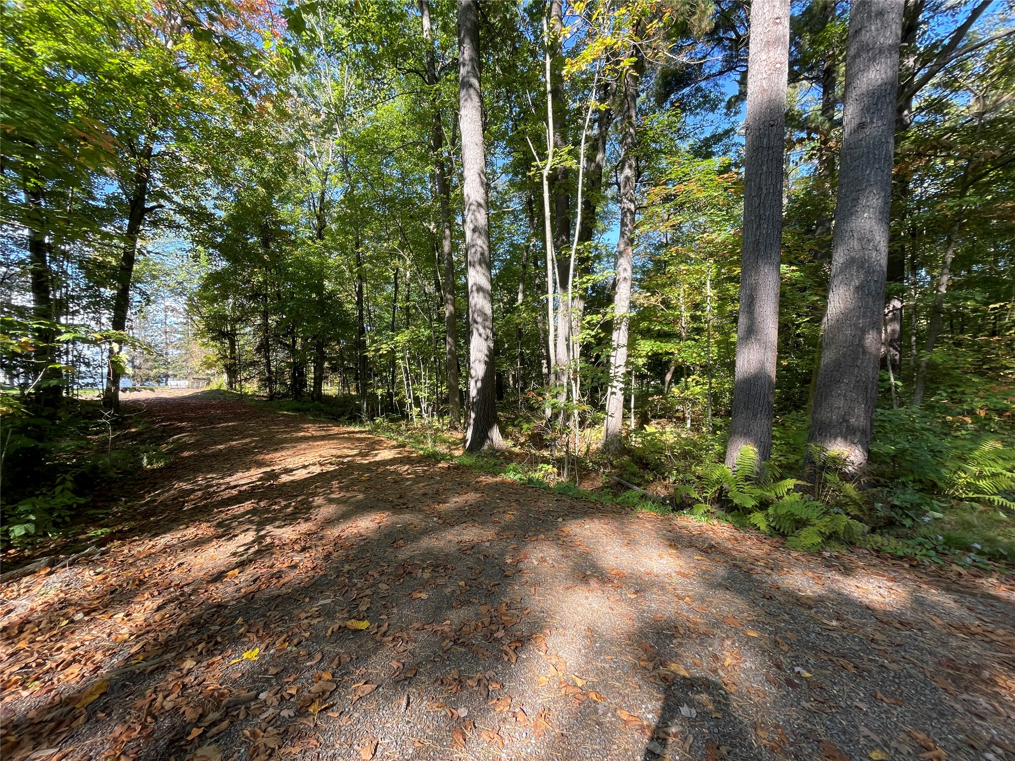 6073 N Elsie Road Property Photo 6