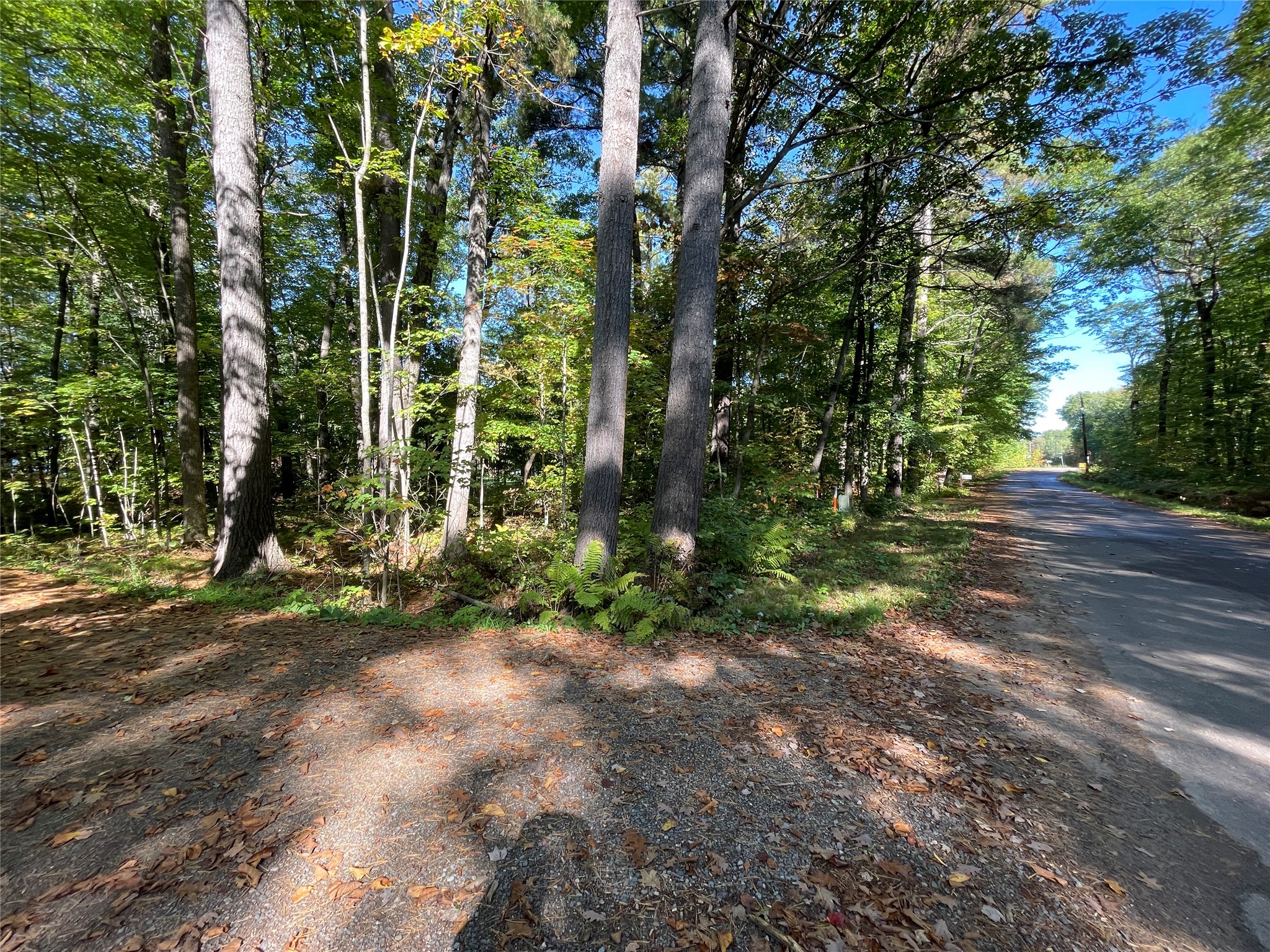 6073 N Elsie Road Property Photo 7