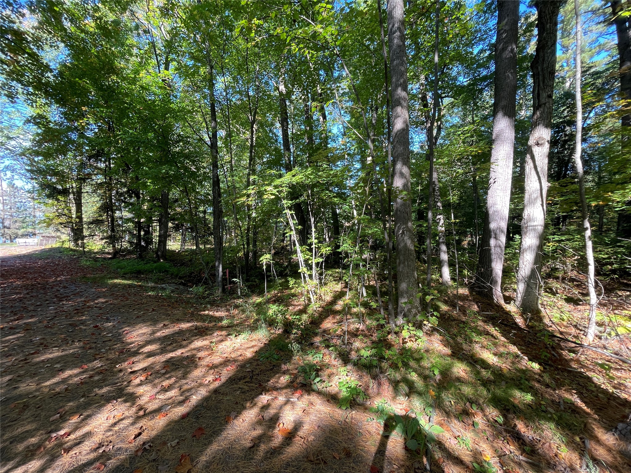 6073 N Elsie Road Property Photo 9