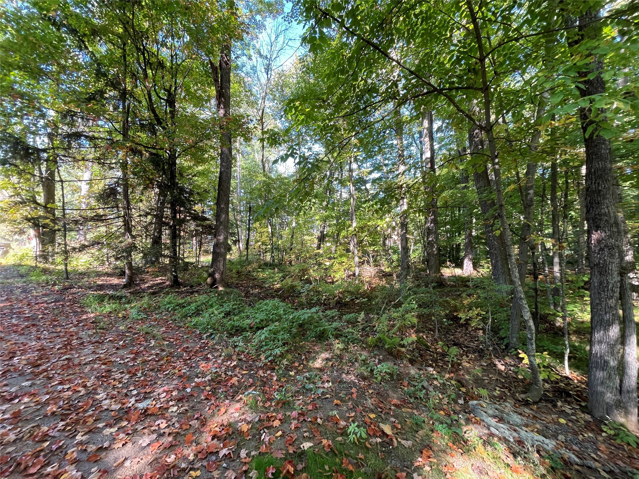6073 N Elsie Road Property Photo 10