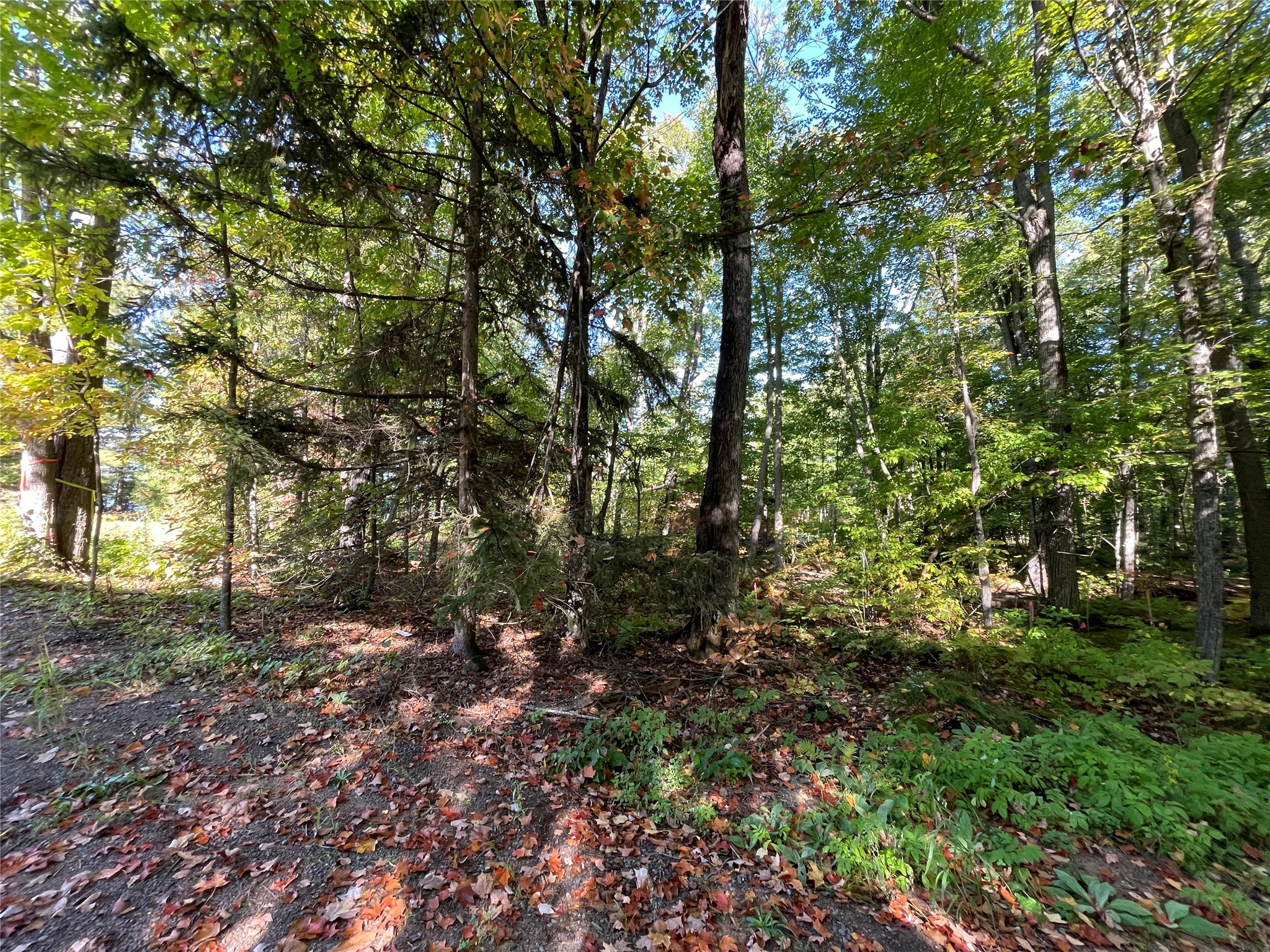 6073 N Elsie Road Property Photo 11