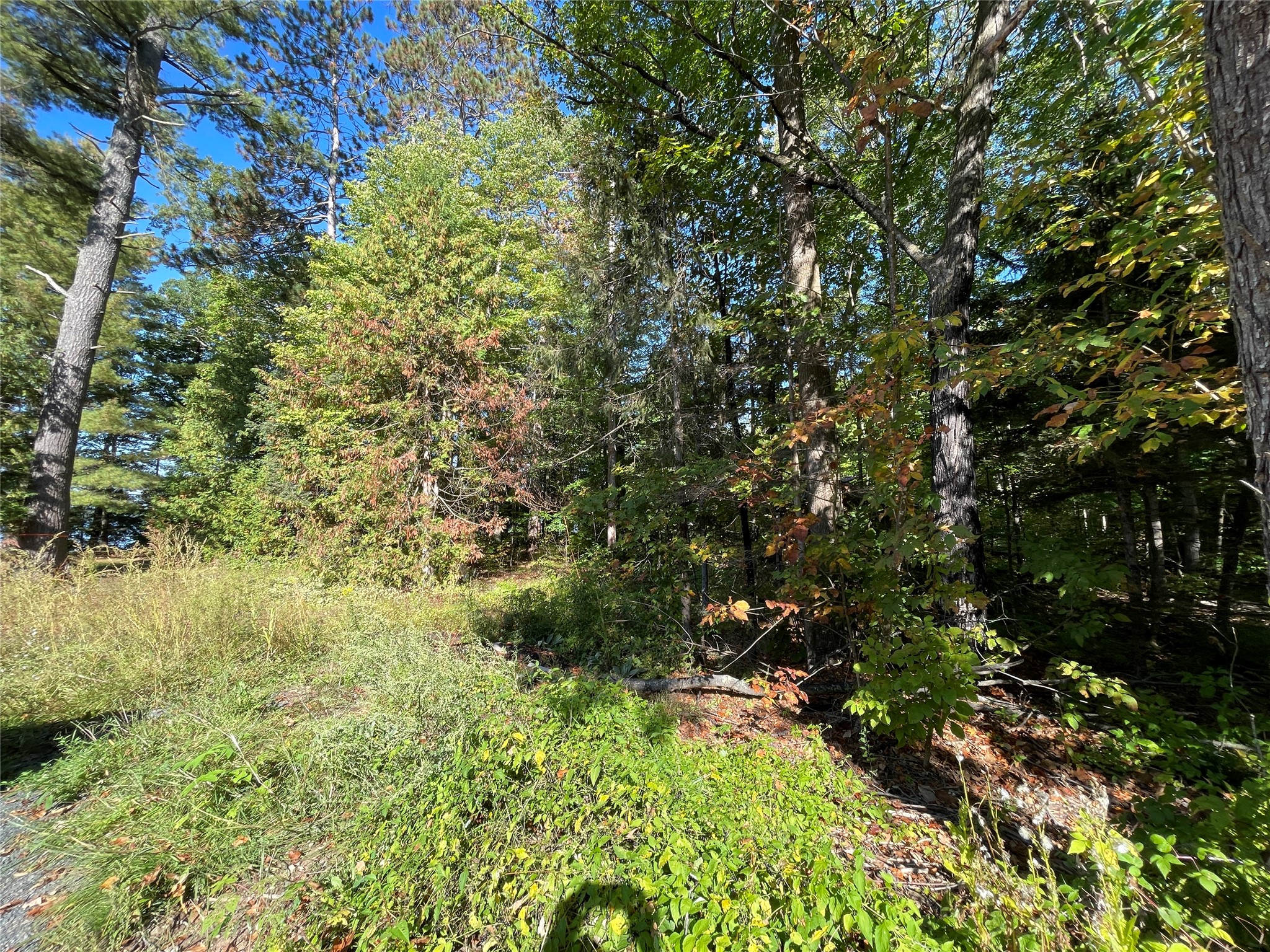 6073 N Elsie Road Property Photo 12