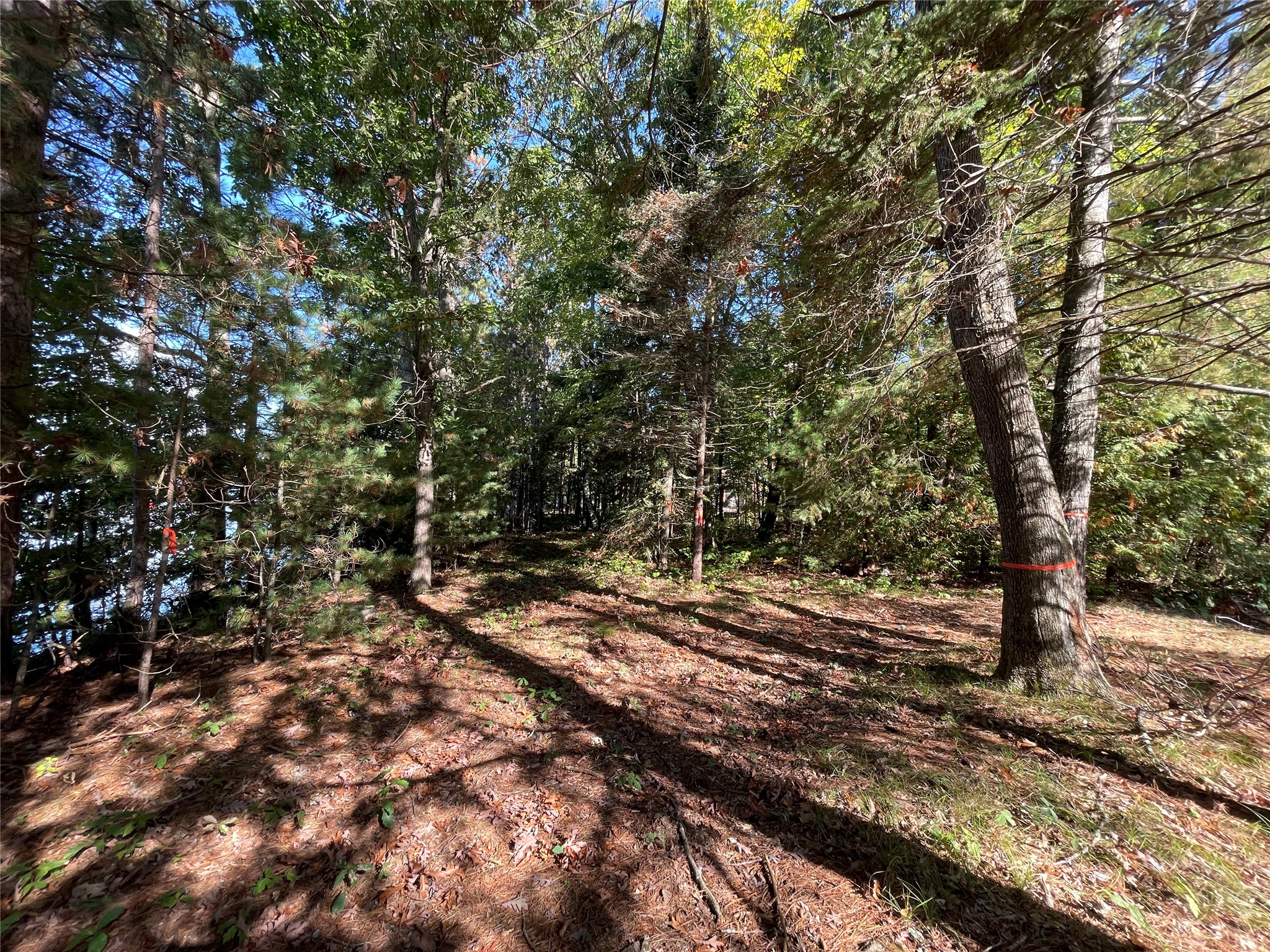 6073 N Elsie Road Property Photo 15