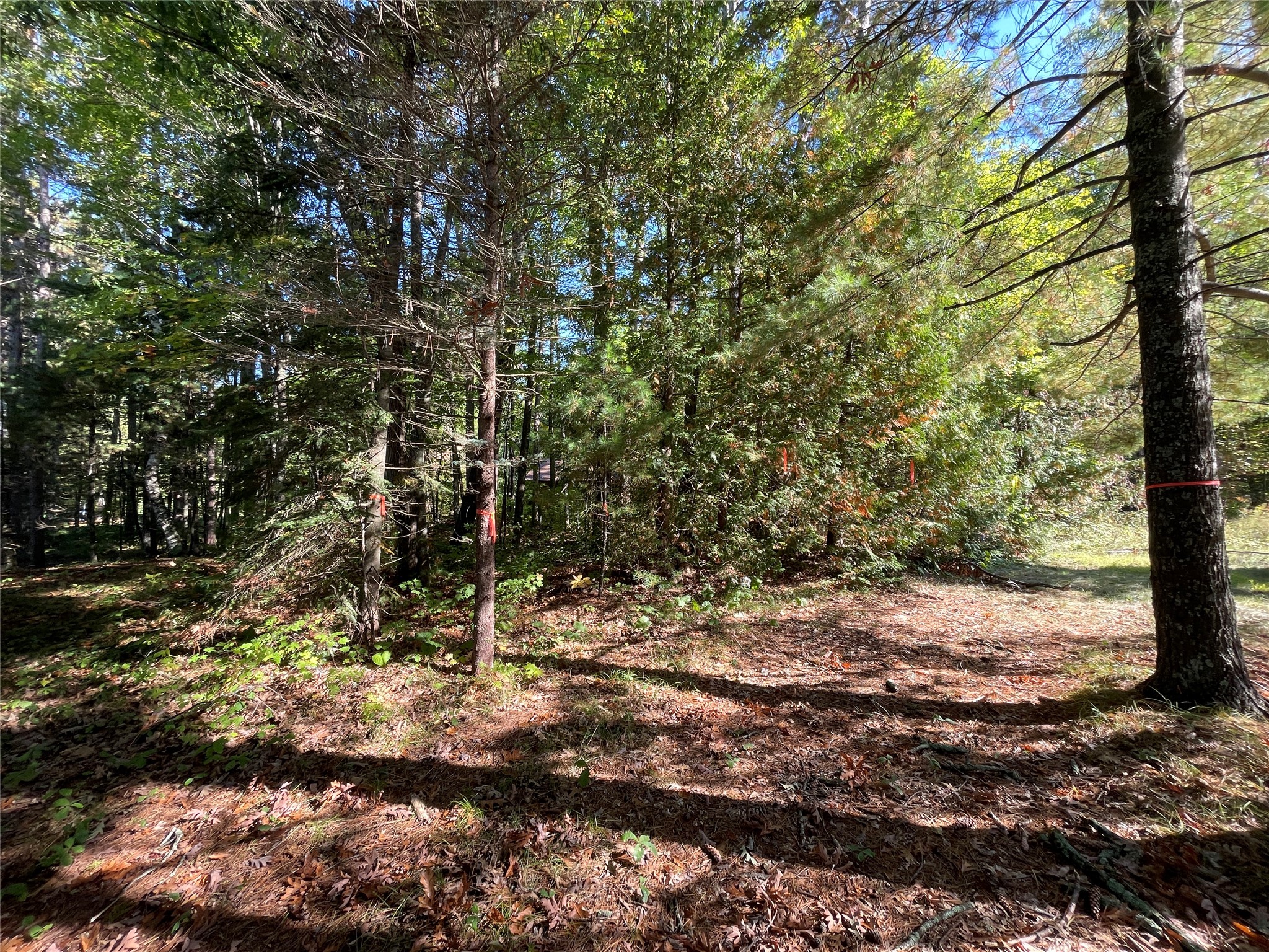 6073 N Elsie Road Property Photo 16