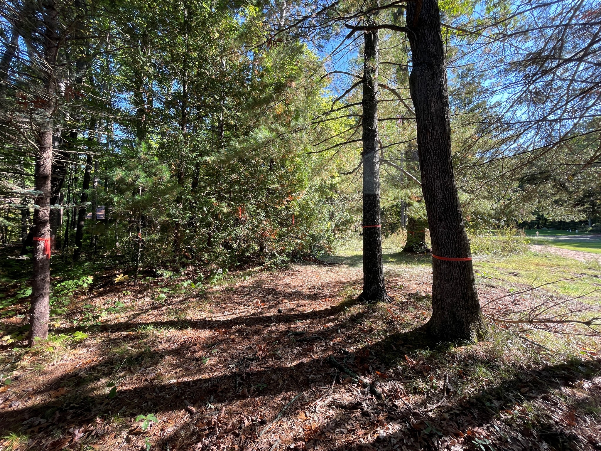 6073 N Elsie Road Property Photo 17