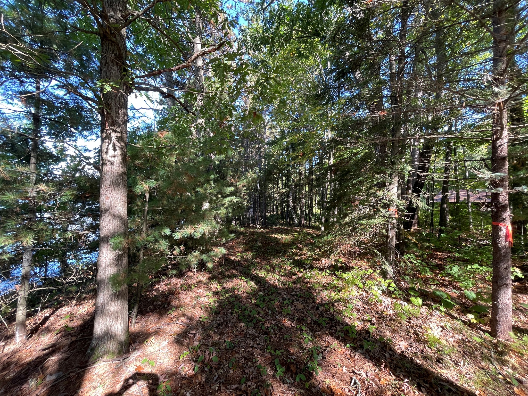 6073 N Elsie Road Property Photo 18
