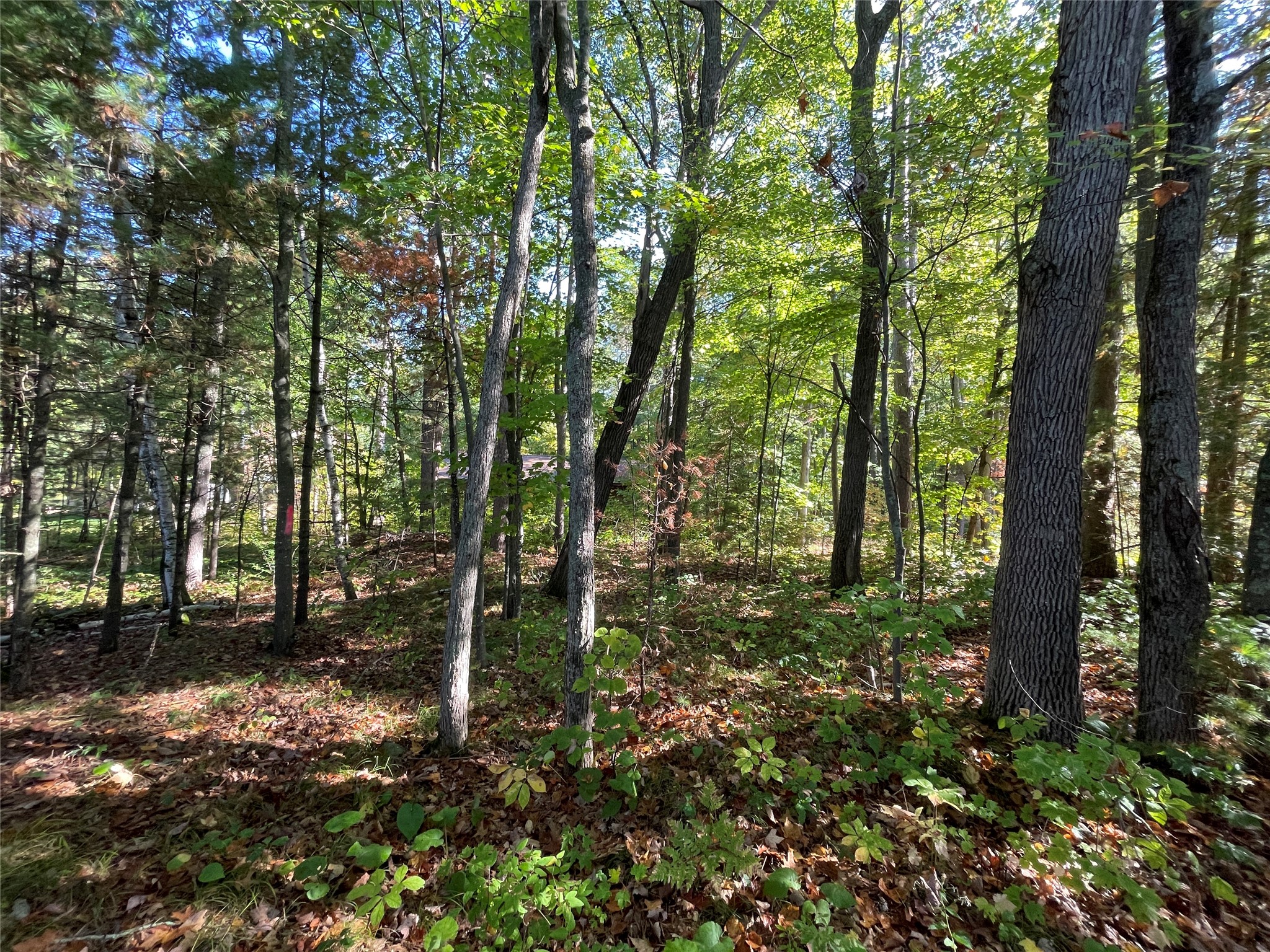 6073 N Elsie Road Property Photo 19