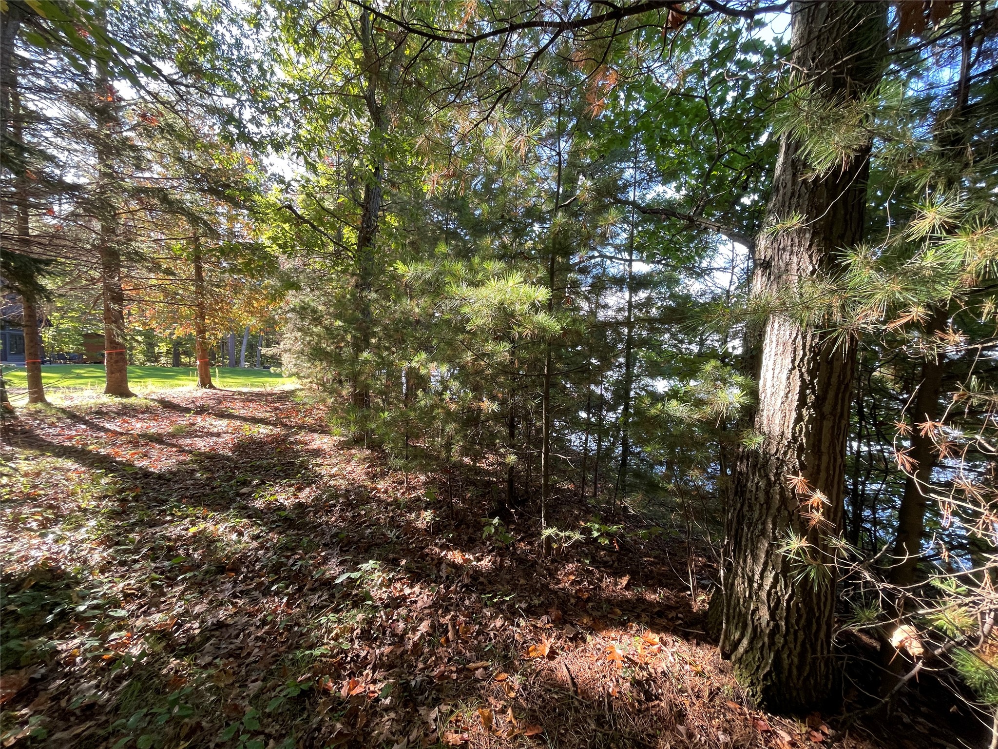 6073 N Elsie Road Property Photo 25