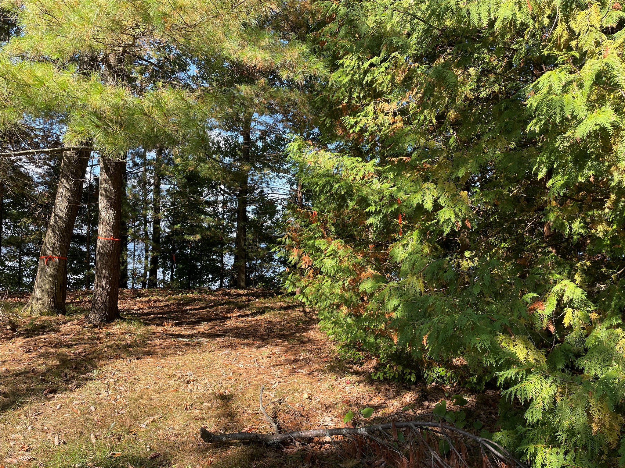 6073 N Elsie Road Property Photo 33